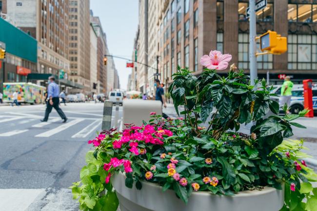 Cement planter on street corner filled with greenery and pink flowers