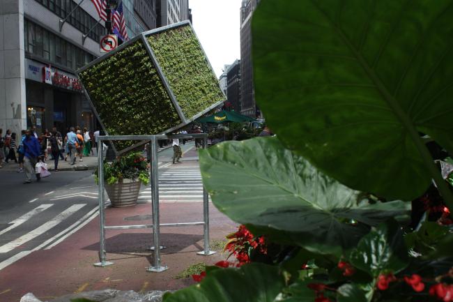 Metal sculpture of a cube at an angle atop a stand; the cube is moss-covered.