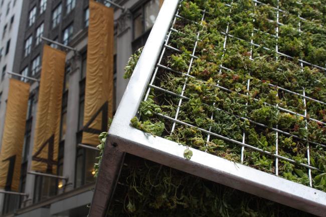 Close-up view of corner of moss-covered cube sculpture