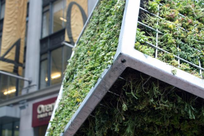 Close-up view from underneath a corner of a moss-covered cube sculpture